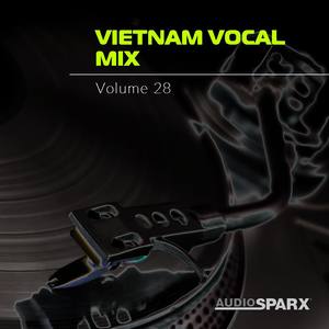 Vietnam Vocal Mix Volume 28