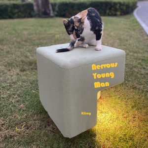 Nervous Young Man (Single Mix)