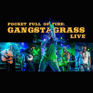 Gangstagrass - All for One (Live)