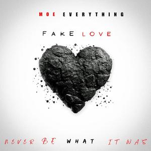 Fake Love (feat. Ashley Nicole) (Explicit)
