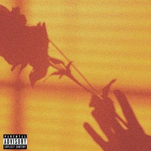 5 Star (Explicit)