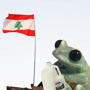 Milked A Frog In Lebanon (Explicit)