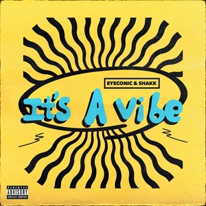 it's a vibe (Explicit)