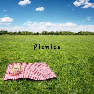 Picnics