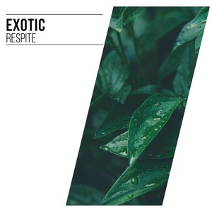 #Exotic Respite