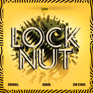Lock Nut