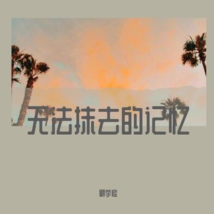 无法抹去的记忆 (Demo)