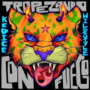 Tropezando Con Fuego (feat. Dante Wildstyle) (Explicit)
