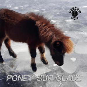 Poney Sur Glace