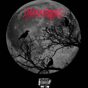 Moonlight (Explicit)