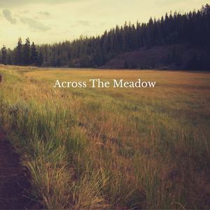 Across the Meadow