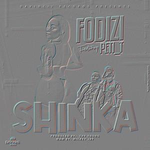 SHINKA (feat. Peti_t)