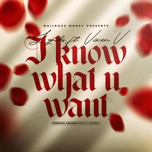 I Know What U Want (feat. Vixen V) [Explicit]