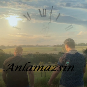 Anlamazsin