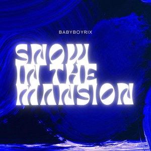 Snow In The Mansion (Explicit)