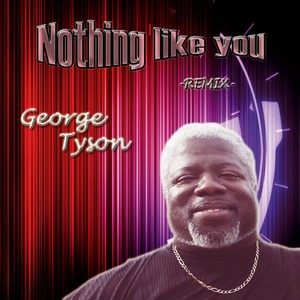 Nothing Like You (Remix)