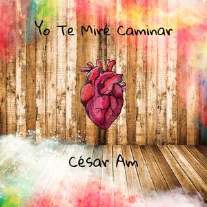 Yo te miré caminar