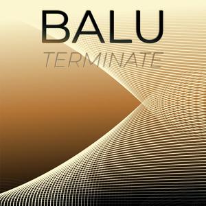 Balu Terminate