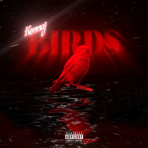 BIRDZ (Explicit)