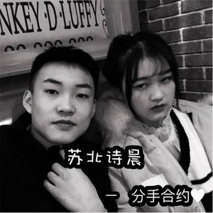 落花流水 (DJ版)