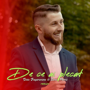 De ce ai plecat (Remix)