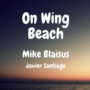 On Wing Beach