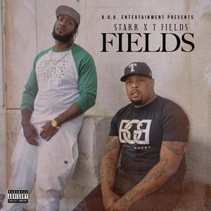 Fields (Explicit)