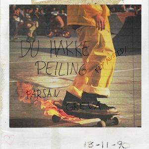 DU HAKKE PEILING / FLY AVSTED (feat. Greva) [Explicit]