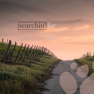 searchin' for you