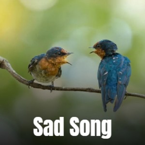 Sad Song