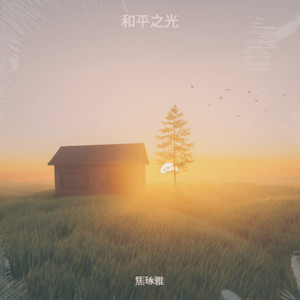 和平之光封面