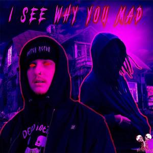 I SEE WHY YOU MAD (Explicit)
