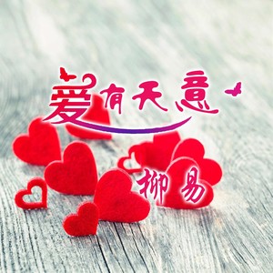 爱有天意 (伴奏)