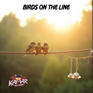 birds on the line