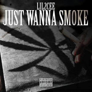 Just wanna smoke (Explicit)