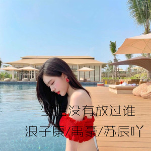 我选择的路 (DJ版)