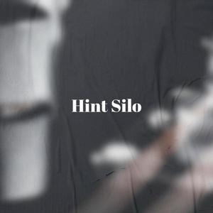 Hint Silo