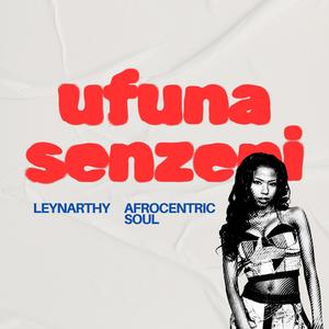 Ufuna Senzeni
