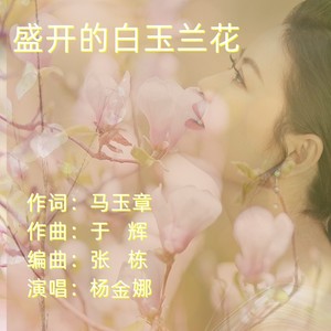 盛开的白玉兰花女高音