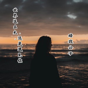 世界这么大还是遇见你