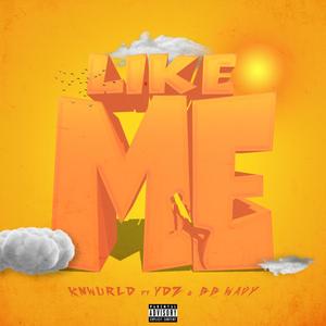 Like Me (feat. YDZ & BB Wavy) [Explicit]