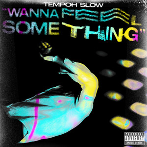 WANNA FEEL SOMETHING (Explicit)