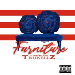 Furniture (feat. Spank Nitti James) [Explicit]