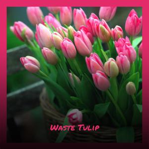 Waste Tulip