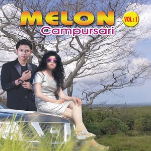 Melon Campursari, Vol. 1