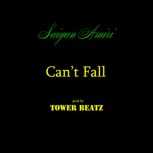 Can't Fall
