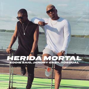 Herida Mortal (feat. Jandry Gaby & Yosdual)