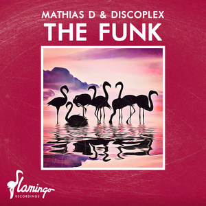 The Funk(Extended Mix)