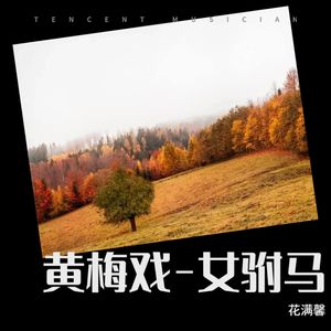 【黄梅戏】女驸马 帽插宫花