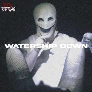 Watership Down (feat. Aka-Dee & payZn) [Explicit]